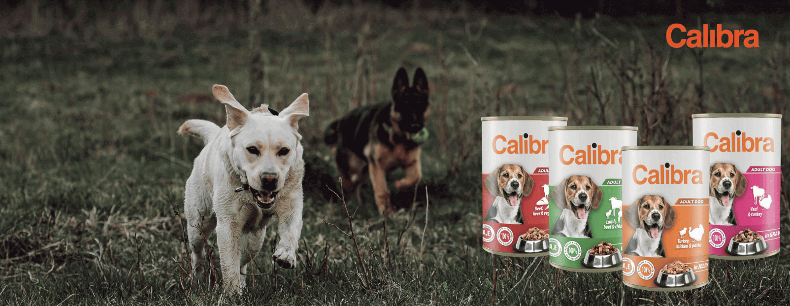 -15% nuolaida Calibra Dog Premium konservams šunims